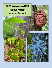 2025 DNR Forest Health Annual Report