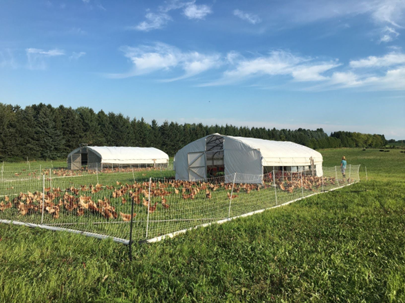 ThreeBrothersFarm