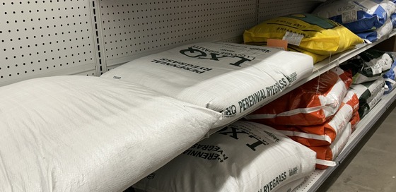 bags of seed for sale