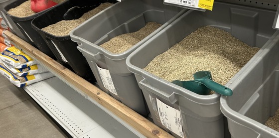 selling grass seed out of bins
