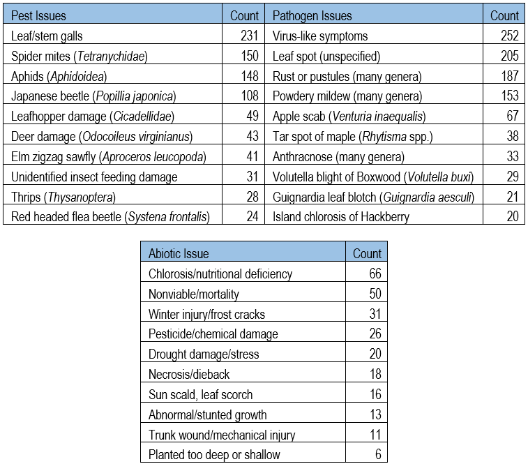 2025 top 10s for nursery issues