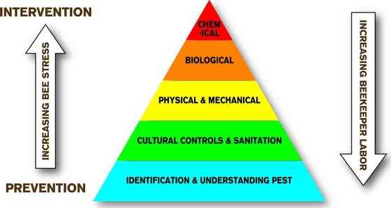 IPM pyramid
