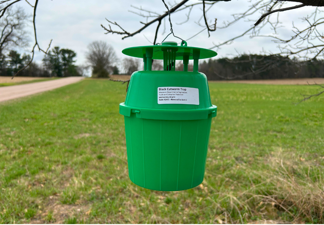 Green Plastic Bucket Trap for Moth Survey