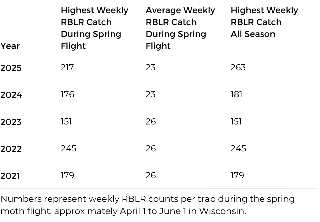 Table Showing RBLR Trap Counts Peaking at 263 Moths and Averaging 26 Moths 2021-2025
