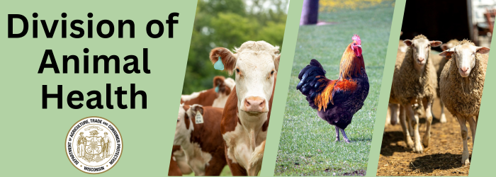 DivisionofAnimalHealthBannerwithCowRoosterandSheep