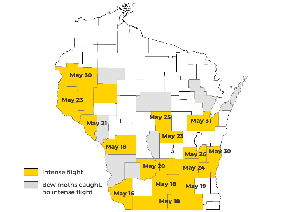 Map: Black Cutworm Corn Cutting Starts May 16 in Grant County