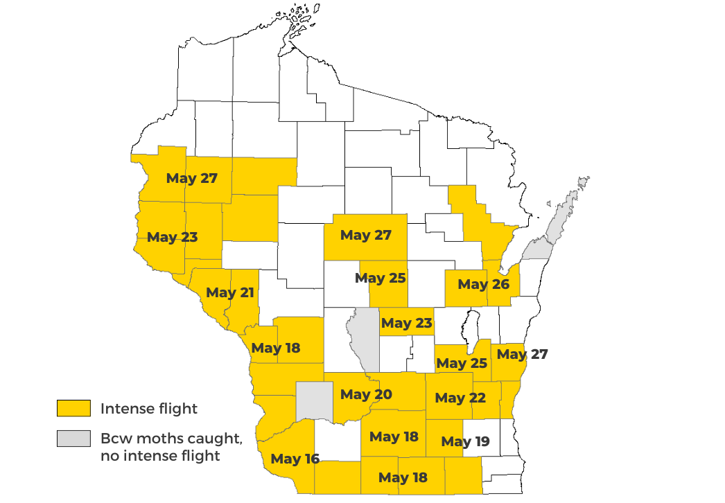 Map: Black cutworm cutting dates forecast ranging from May 16 in southwest to May 27 in north-central Wisconsin