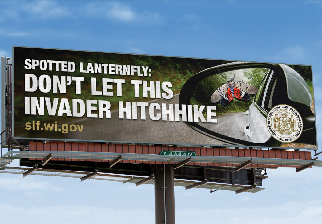 DATCP's spotted lanternfly billboard