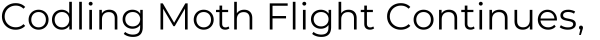 Title: Codling Moth Flight Continues,