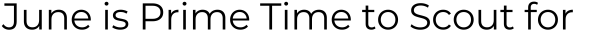 Title: June is Prime Time to