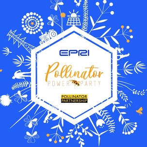 Pollinator Power Party