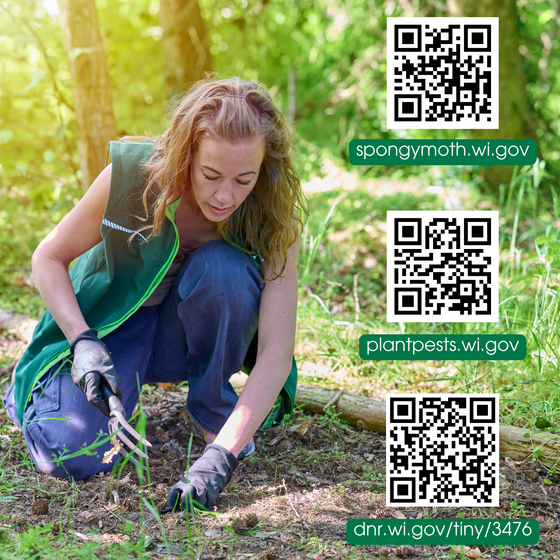 June is Invasive Species Action Month