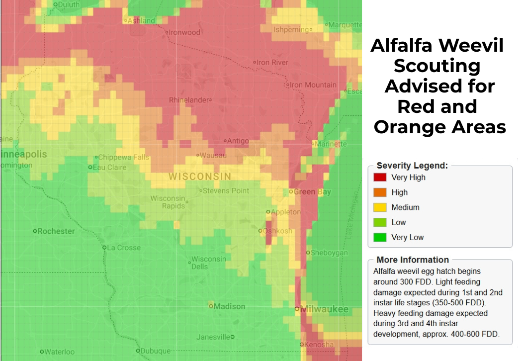 Alfalfa weevil risk map showing scouting advisory for north-central and northeastern Wisconsin