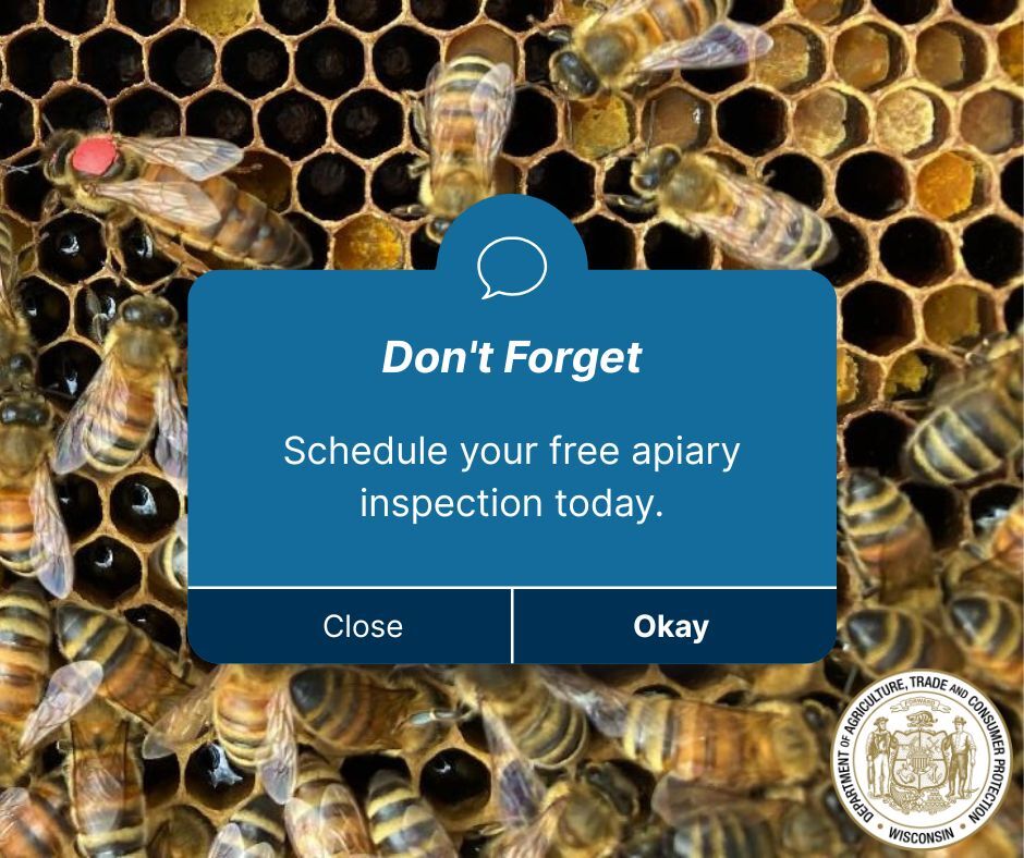 schedule your inspection today