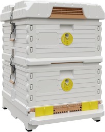 apimaye hive