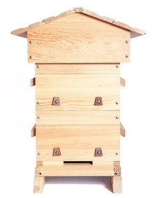 warre hive