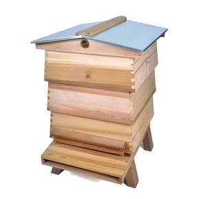 WBC hive