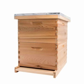 langstroth hive