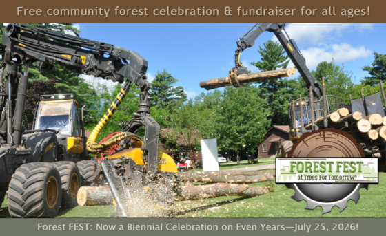 Forest FEST flyer
