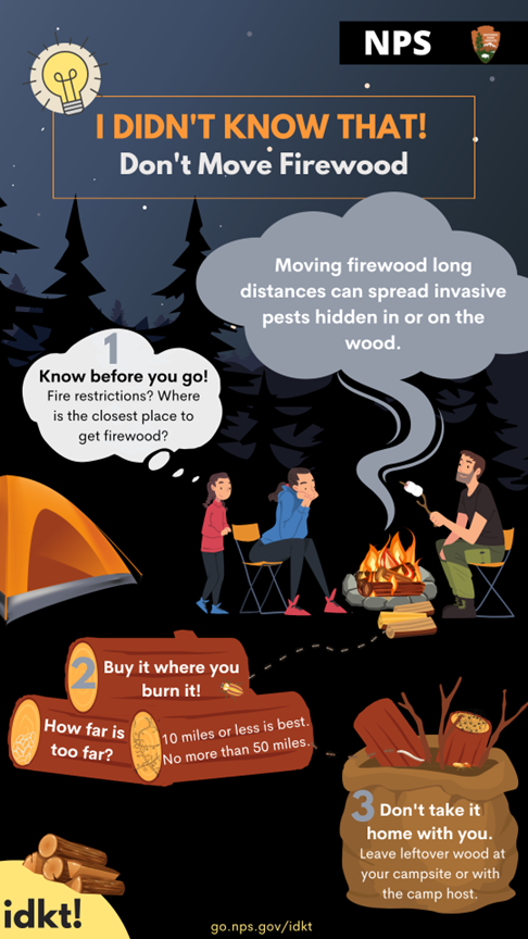 Don't move firewood flyer