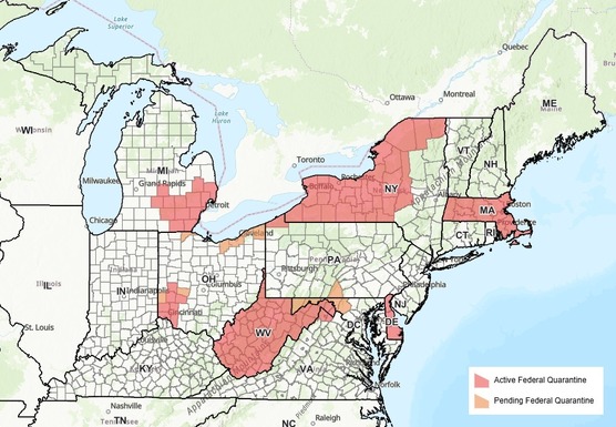 USDA box tree moth quarantine map
