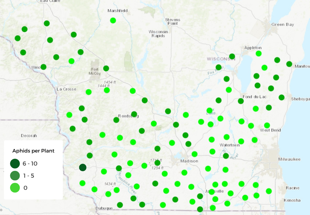 Map showing soybean fields surveyed for soybean aphids July 7-23, 2026
