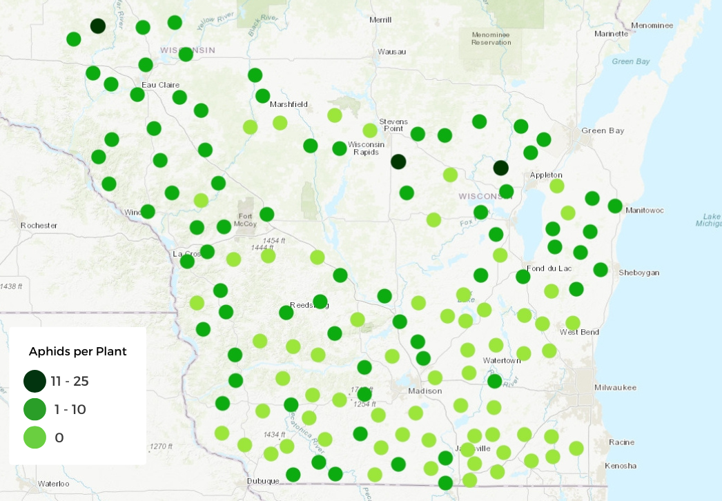 Map showing average soybean aphid counts in 140 fields sampled July 7-30, 2026