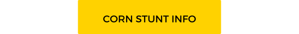 Button: Corn Stunt Information