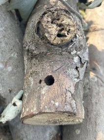 round ALB exit hole