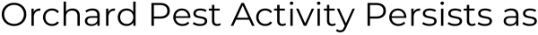 Title: Orchard Pest Activity Persists as