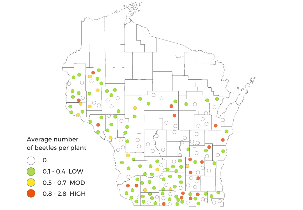Corn Rootworm Beetle Survey Results Map 2026