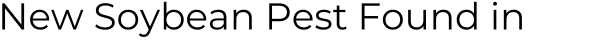 Title: New Soybean Pest Found in