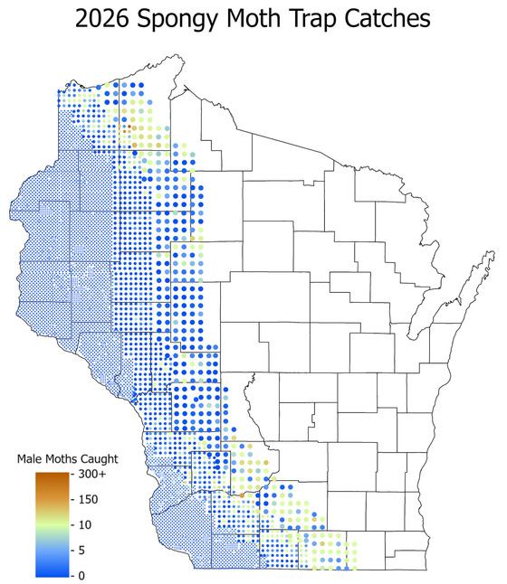 2026 Spongy Moth Total Catch Dot Map