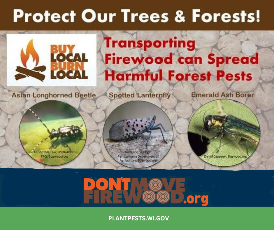 Don't move firewood
