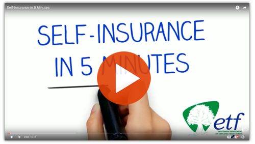 Self Insurance Video