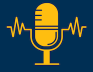 SWIB Podcast microphone