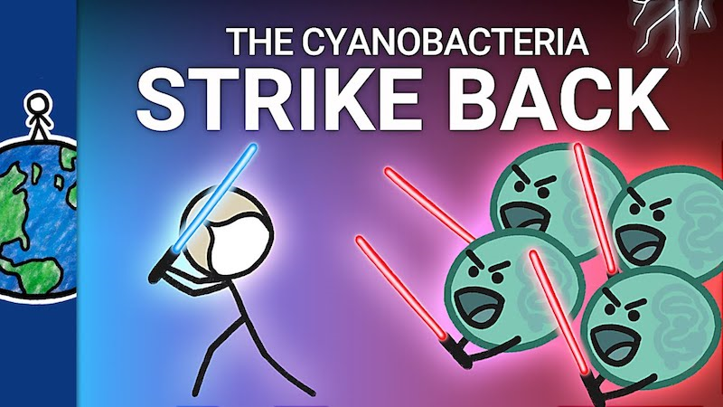 cyanobacteria strike back video still