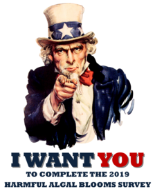 uncle sam I want you 