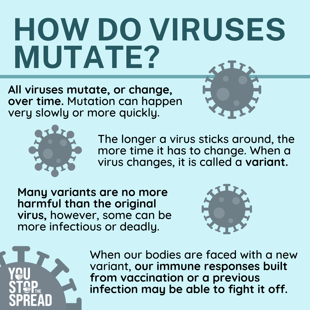 How do viruses mutate?