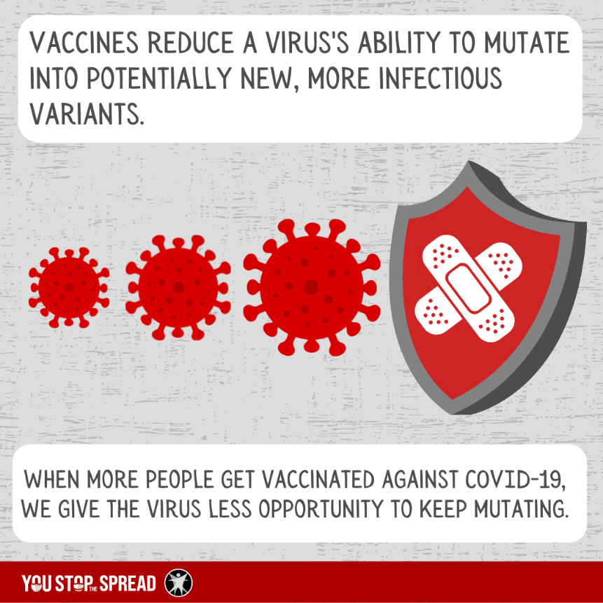 Vaccines reduce a virus's ability to mutate