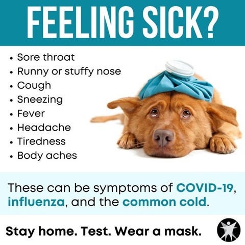 Feeling sick?