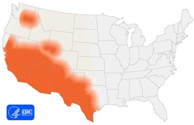 Valley Fever Map U.S.