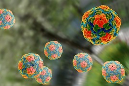 3D model of hepatitis A virus