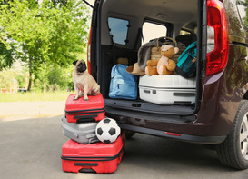 Dog sitting on a stack of luggage next to an open car hatch