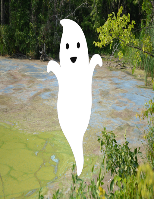 HAB Ghost