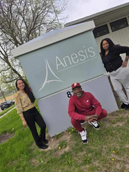 Anesis