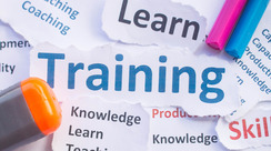 training word cloud