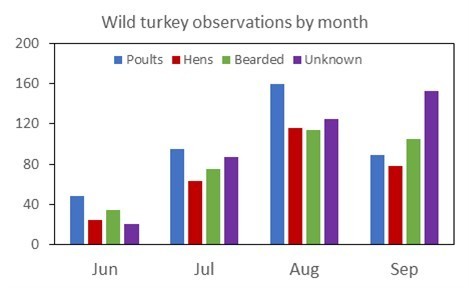 Turkeys by Month