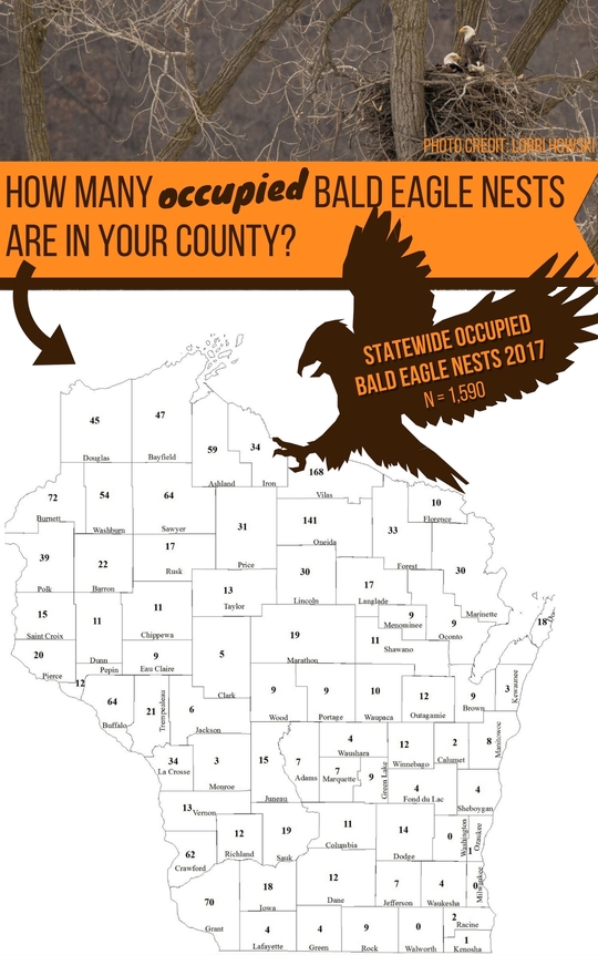 eagle nest map 