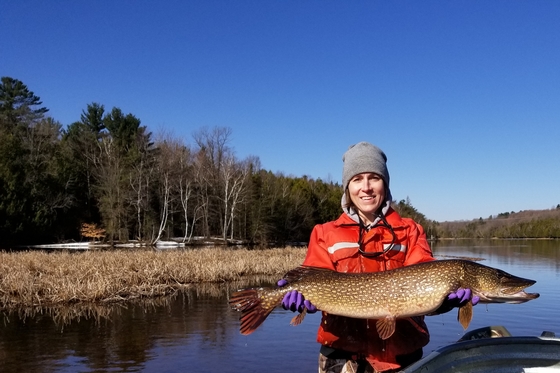 DNR fisheries biologist with northern pike 